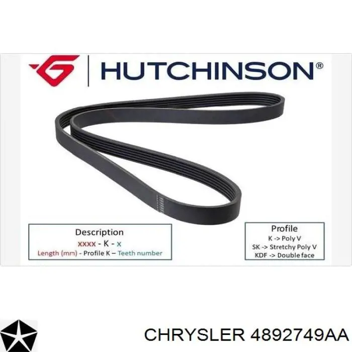 Купити 4892749AA Chrysler Ремінь генератора