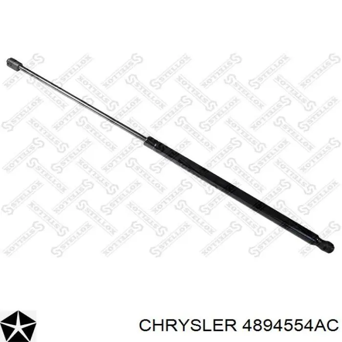 Амортизатор двері задньої Chrysler 4894554AC ціна, від 8.56 USD