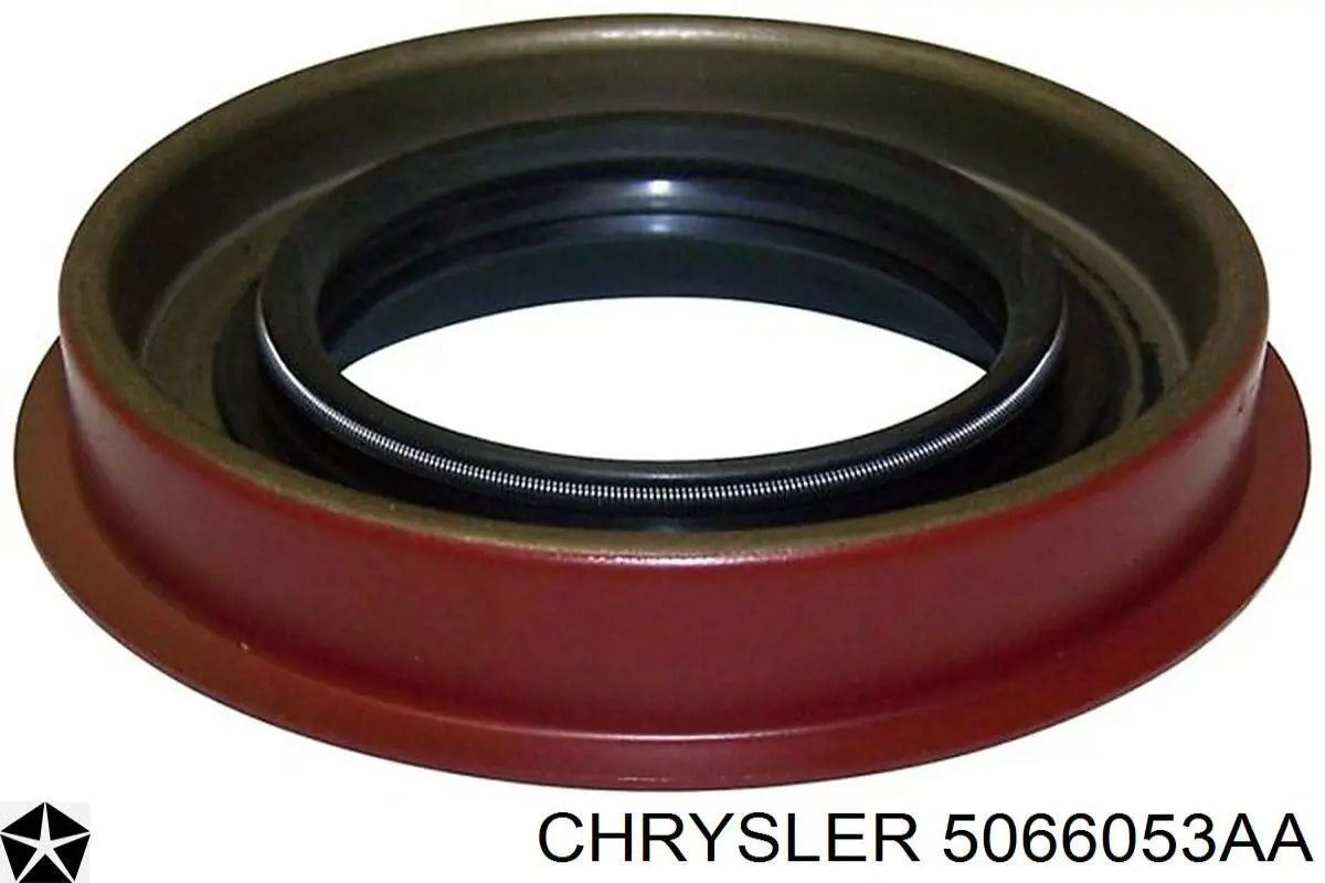  SL260075 Timken