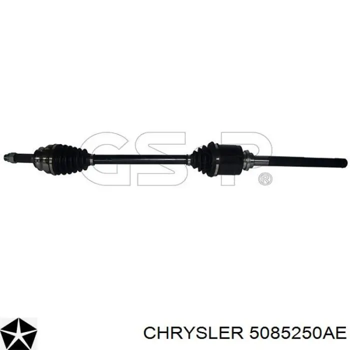  5085250AE Market (OEM)