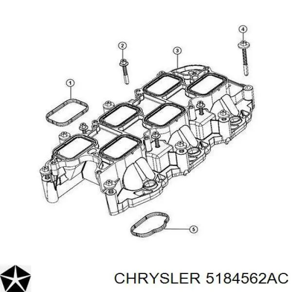 5184562AC Chrysler прокладка впускного колектора