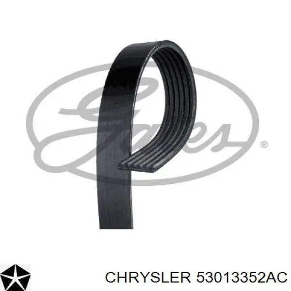 Купити 53013352AC Chrysler Ремінь генератора