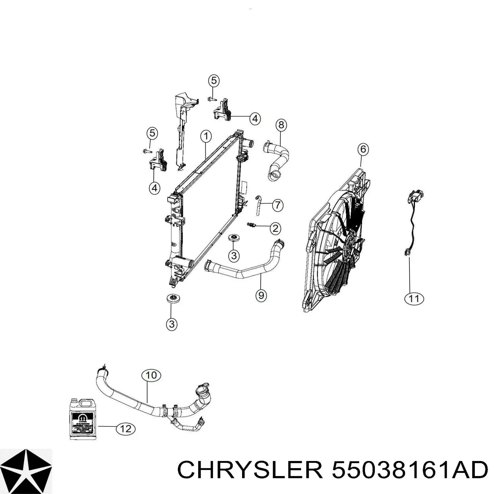 55038161AC Chrysler шланг/патрубок радіатора охолодження, нижній