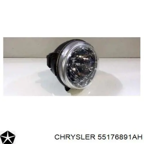 Купити 55176891AH Chrysler Двері кабіни
