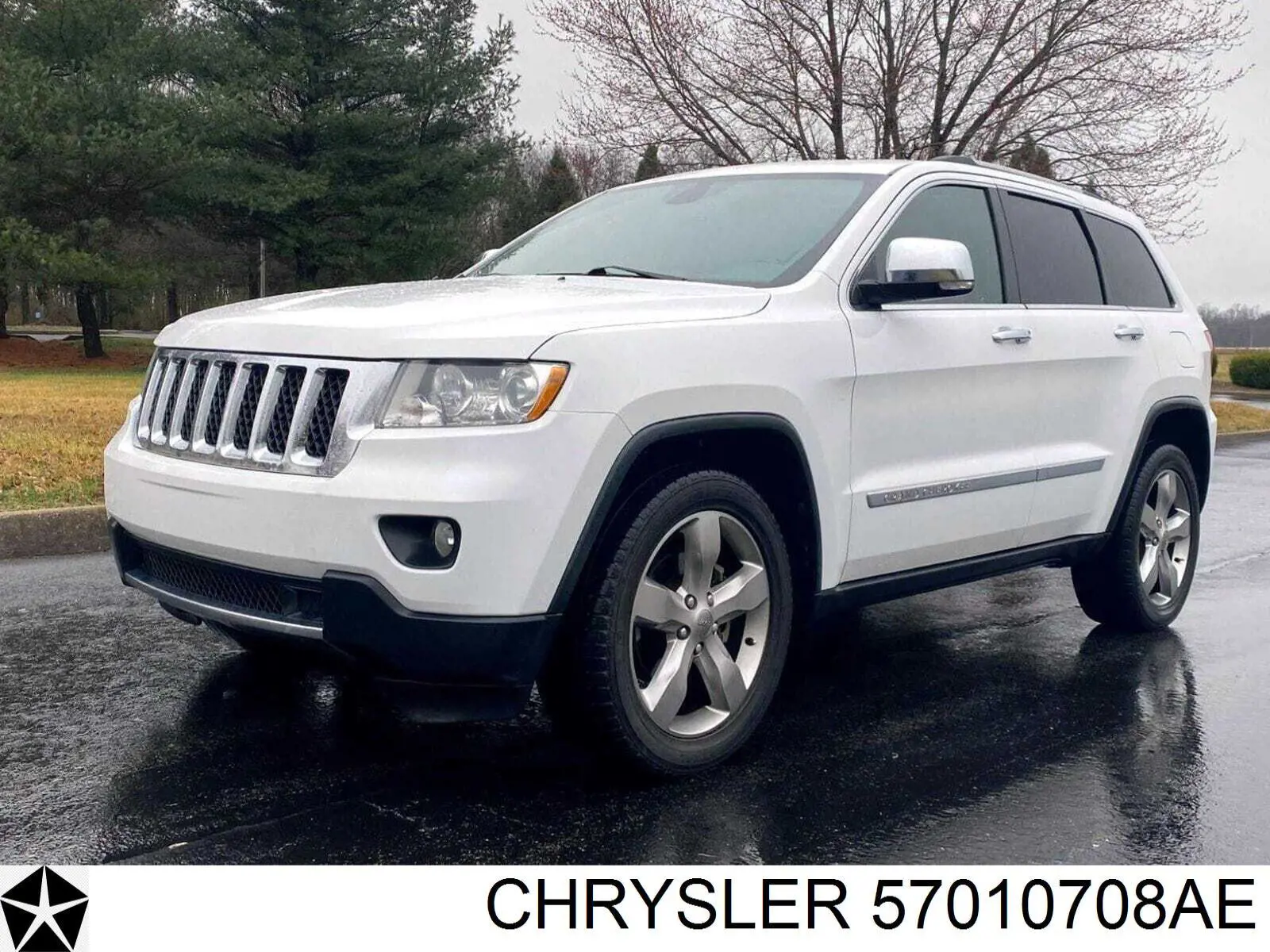 Купити 57010708AC Chrysler Захисна решітка радіатора