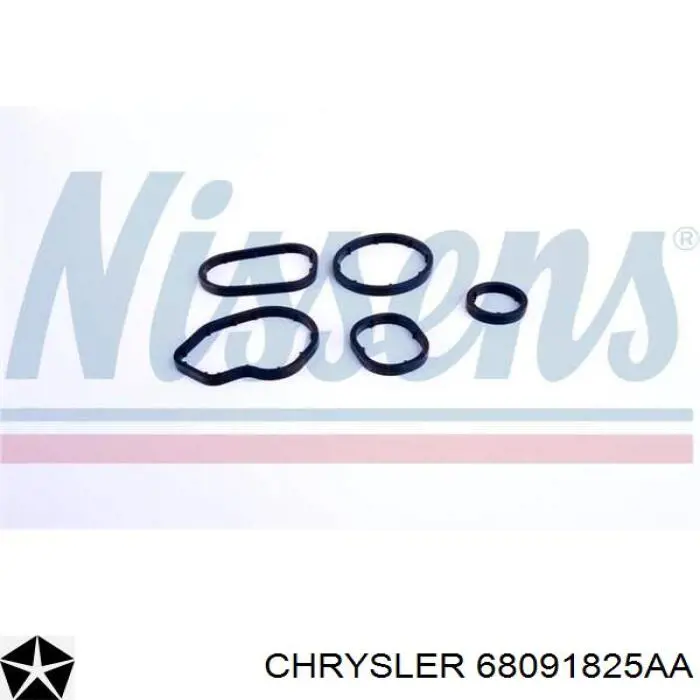 68091825AA Chrysler Радіатор масляний