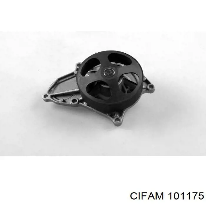 101175 Cifam циліндр гальмівний колісний/робітник, задній