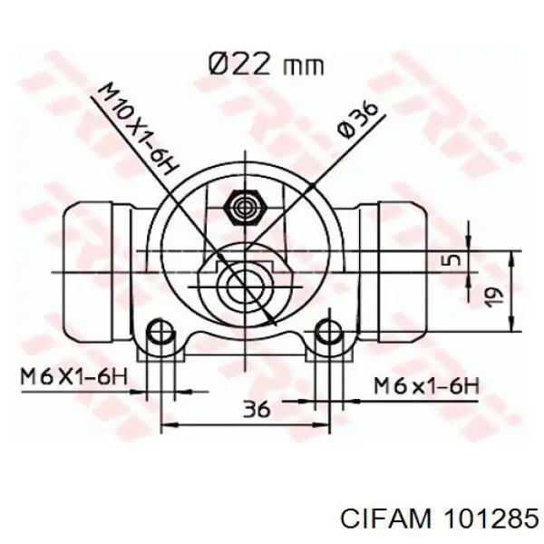 Циліндр гальмівний колісний/робітник, задній 1011072 Cifam