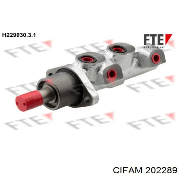 ГТЦ Cifam 202289