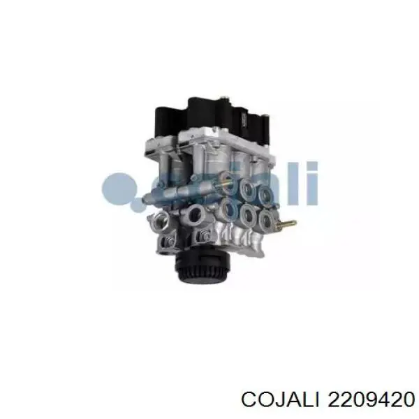 2209420 Cojali 