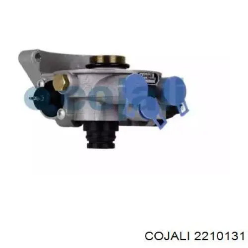  2210131 Cojali