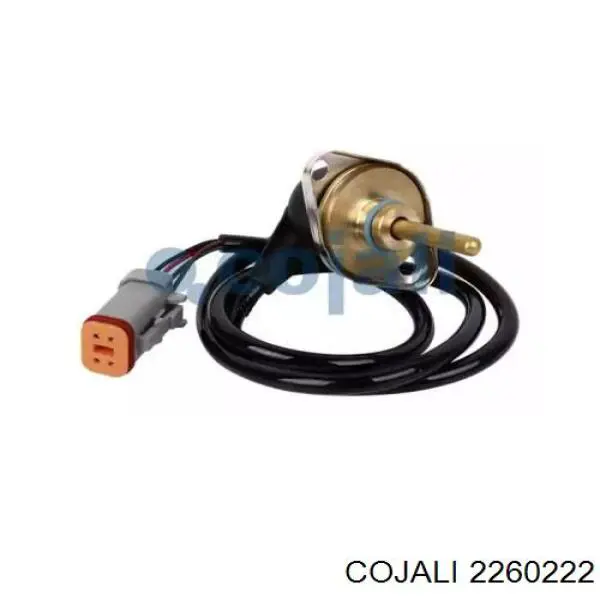 Купити 2260222 Cojali 