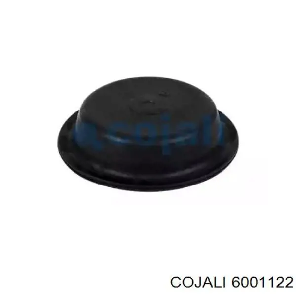 SEM 15882