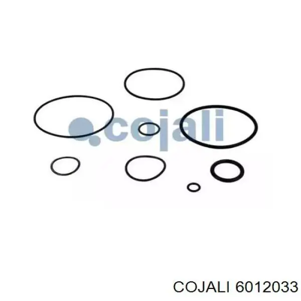 Купити 6012033 Cojali 