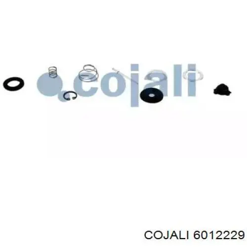  6012229 Cojali