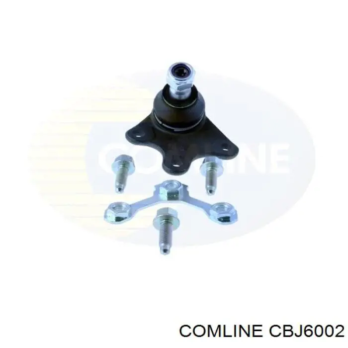 Кульова опора, нижня, права Comline CBJ6002 ціна, від 10.05 USD