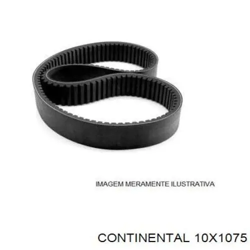 Купити 10X1075 Continental/Siemens Ремінь генератора