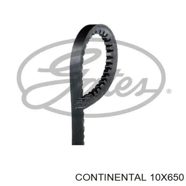 10X650 Continental/Siemens Поліклиновий ремінь