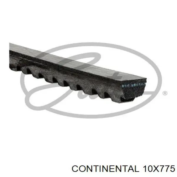 Купити 10X775 Continental/Siemens Ремінь генератора