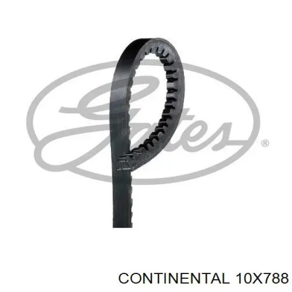 Клиновий ремінь Continental/Siemens 10X788 ціна, від 4.39 USD