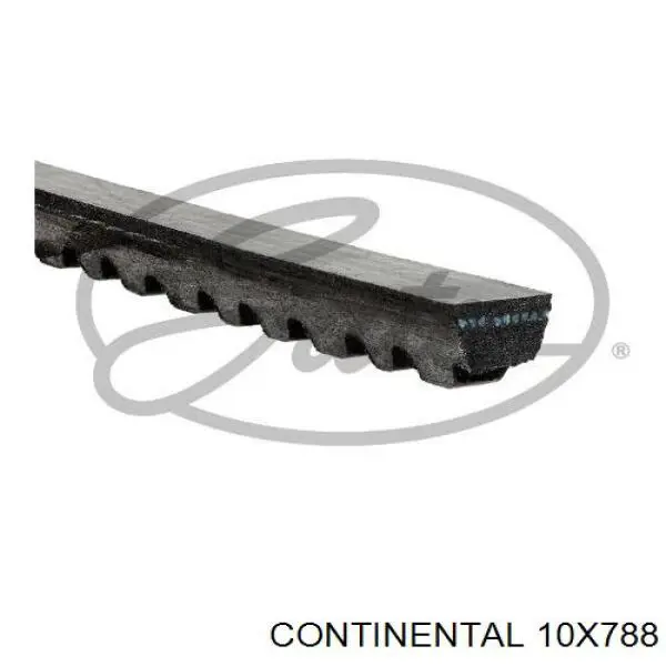 Ремінь генератора 10X788 Continental/Siemens