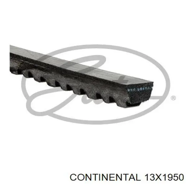 Купити 13X1950 Continental/Siemens Ремінь генератора