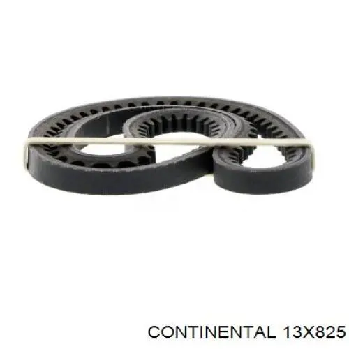 Клиновий ремінь Continental/Siemens 13X825 ціна, від 5.62 USD