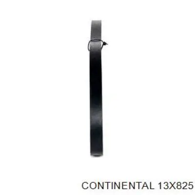 Купити 13X825 Continental/Siemens Ремінь генератора
