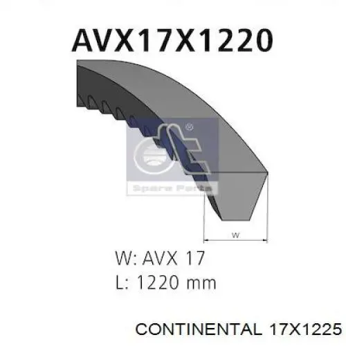 17X1225 Continental/Siemens Поліклиновий ремінь