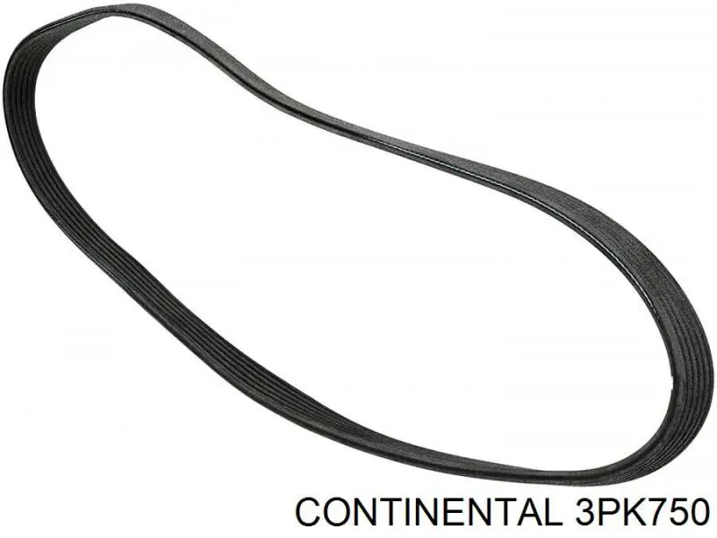 Ремінь генератора 3PK750 Continental/Siemens