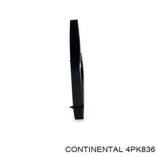 Клиновий ремінь Continental/Siemens 4PK836 ціна, від 7.88 USD