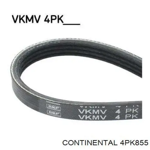 Клиновий ремінь Continental/Siemens 4PK855 ціна, від 6.78 USD