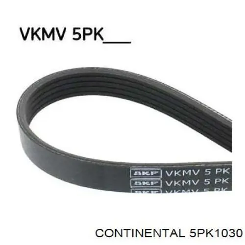 Клиновий ремінь Continental/Siemens 5PK1030 ціна, від 9.71 USD