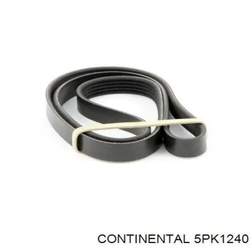 Купити 5PK1240 Continental/Siemens Ремінь генератора