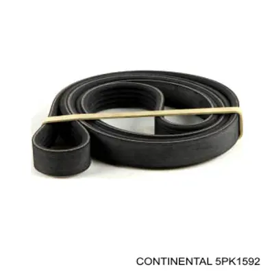 Ремінь генератора 5PK1592 Continental/Siemens