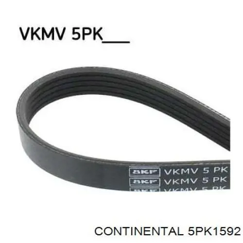 Купити 5PK1592 Continental/Siemens Ремінь генератора