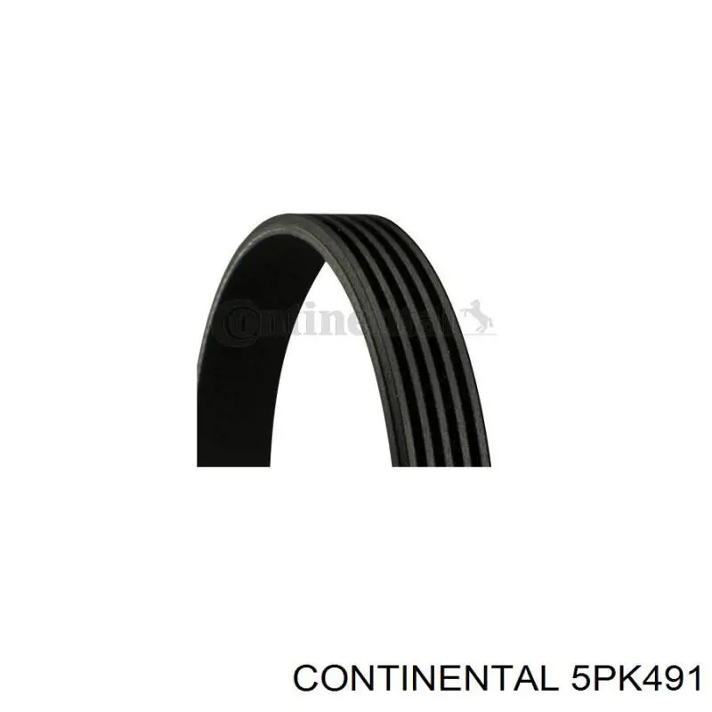 Ремінь генератора 5PK491 Continental/Siemens