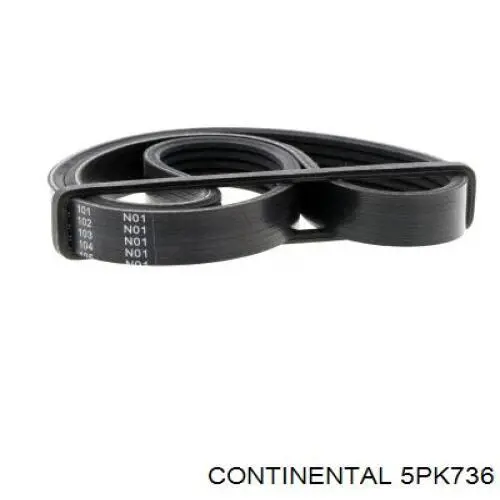 Клиновий ремінь Continental/Siemens 5PK736 ціна, від 5.76 USD