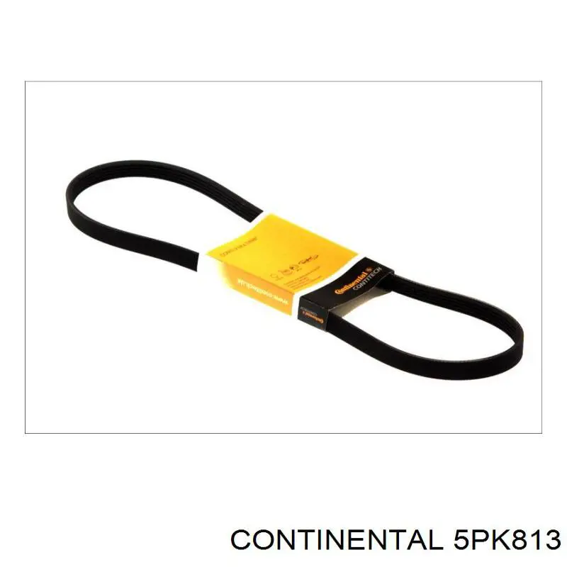 Купити 5PK813 Continental/Siemens Ремінь генератора