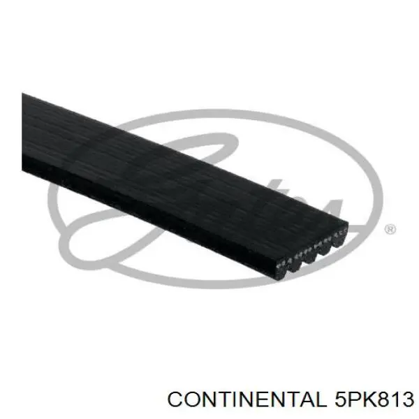 5PK813 Continental/Siemens Поліклиновий ремінь