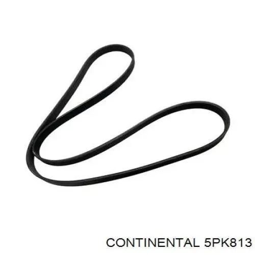 Клиновий ремінь Continental/Siemens 5PK813 ціна, від 9.56 USD