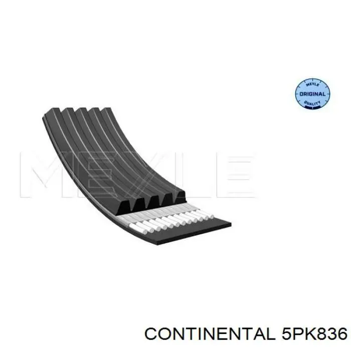 5PK836 Continental/Siemens Поліклиновий ремінь