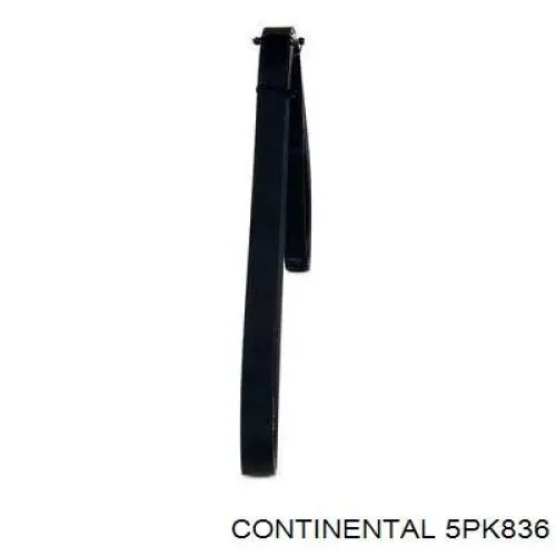 Купити 5PK836 Continental/Siemens Ремінь генератора