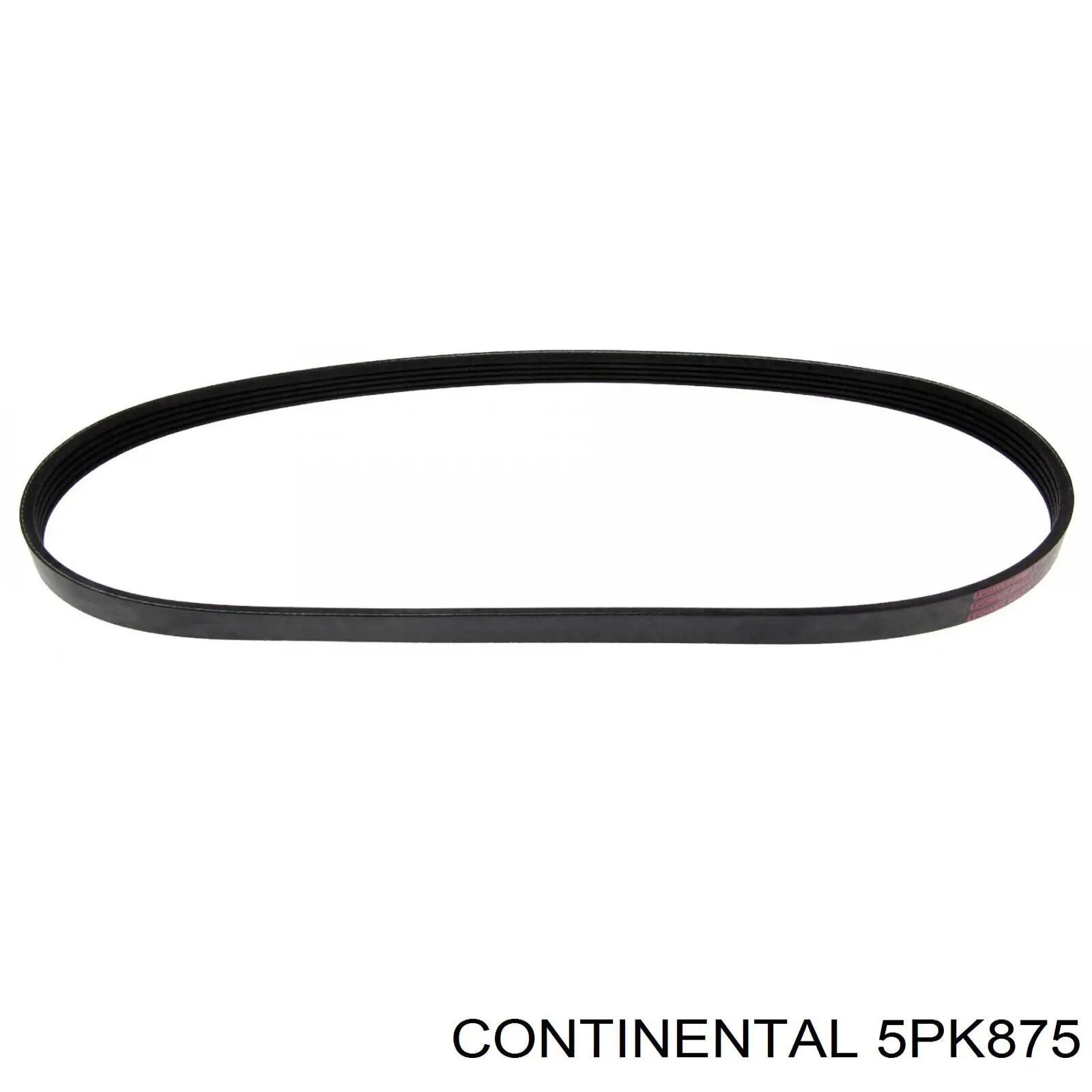 Купити 5PK875 Continental/Siemens Ремінь генератора