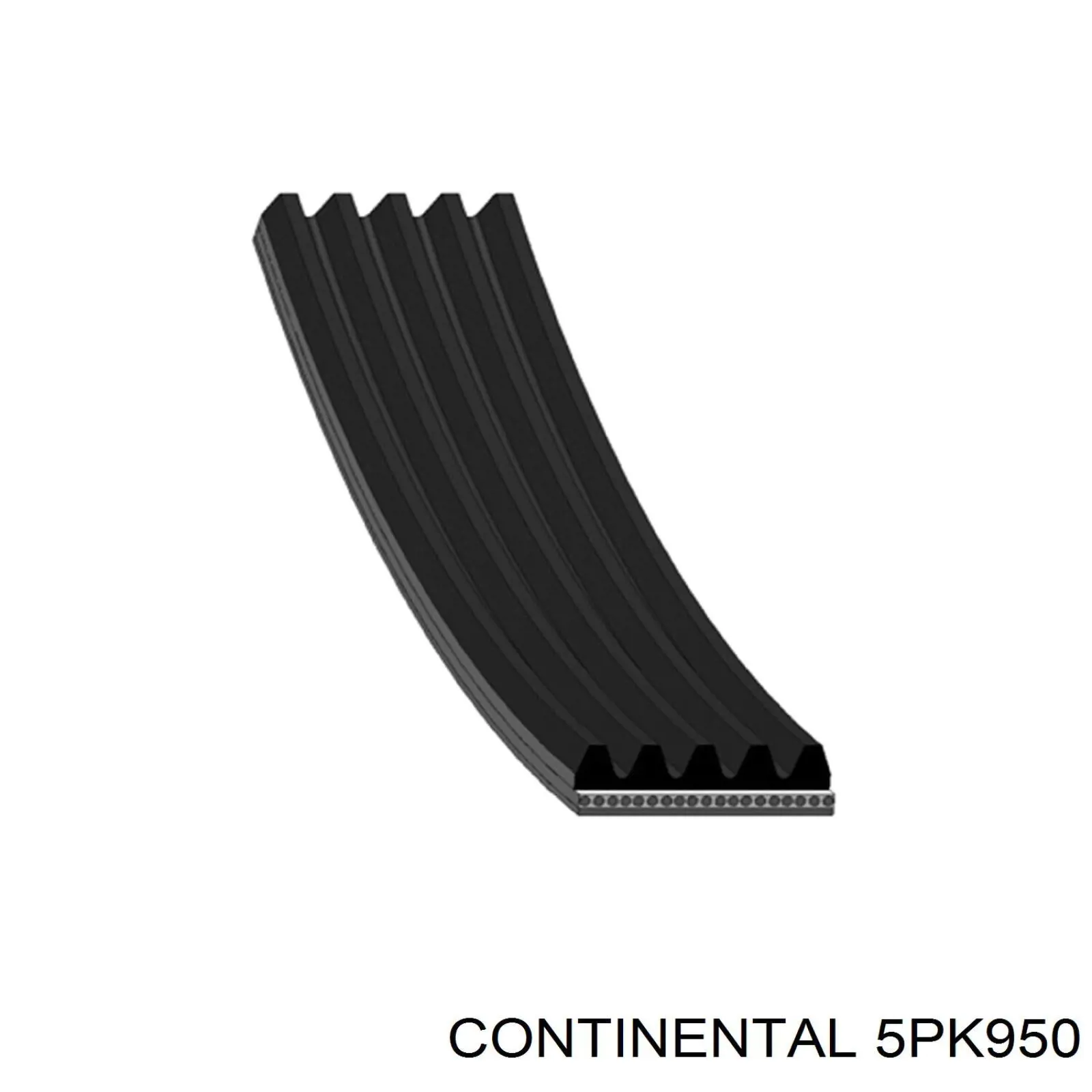 Купити 5PK950 Continental/Siemens Ремінь генератора