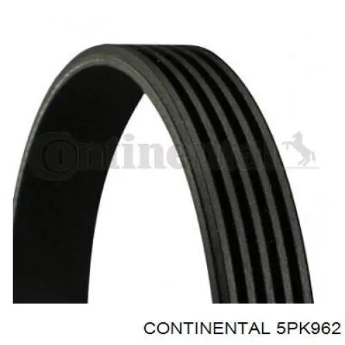 Купити 5PK962 Continental/Siemens Ремінь генератора