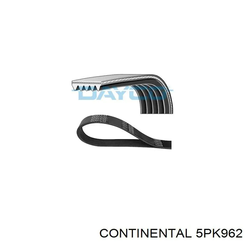 Клиновий ремінь Continental/Siemens 5PK962 ціна, від 7.46 USD