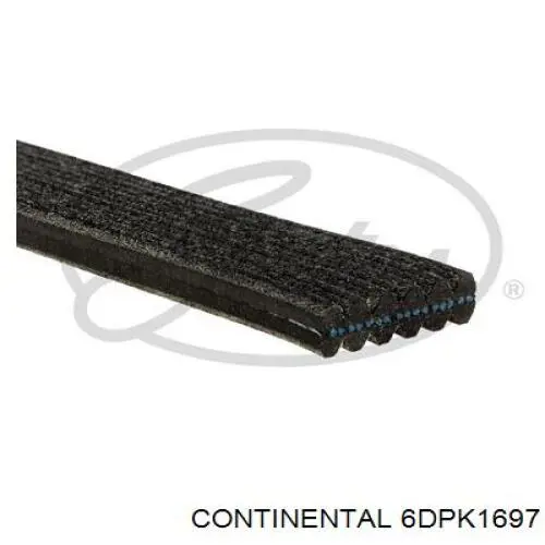 Купити 6DPK1697 Continental/Siemens Ремінь генератора