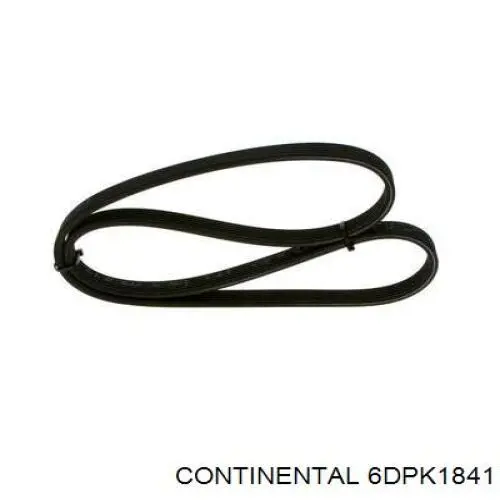 Клиновий ремінь Continental/Siemens 6DPK1841 ціна, від 24.61 USD
