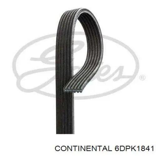 Купити 6DPK1841 Continental/Siemens Ремінь генератора